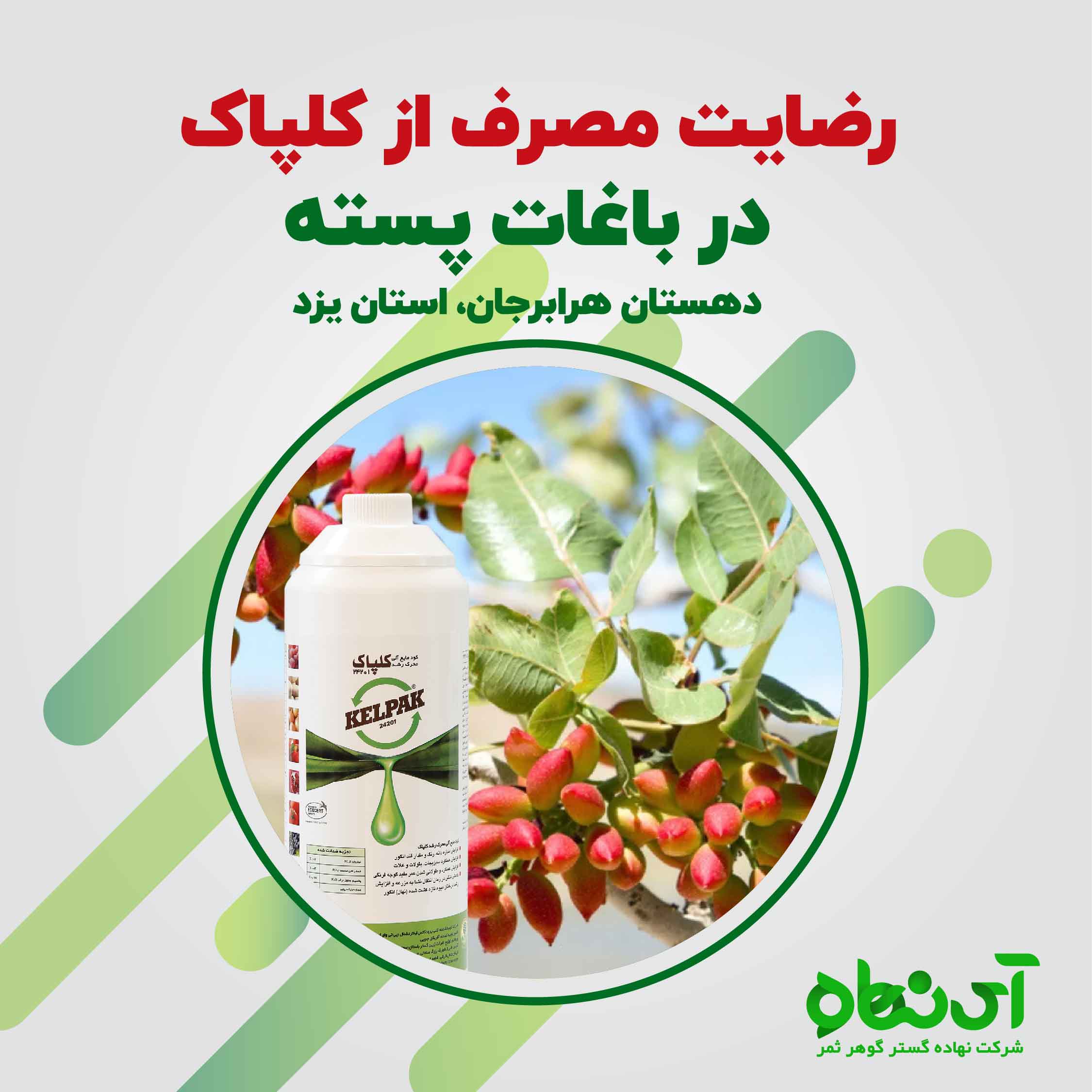 رضایت مصرف از کلپاک در باغات پسته، دهستان هرابرجان، استان یزد